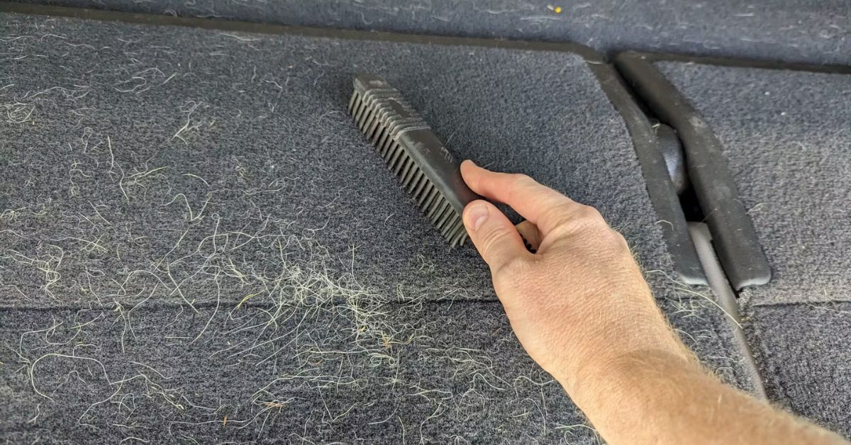 Remove Pet Hair From Car